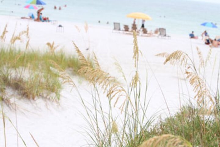 Beach 145 of 159