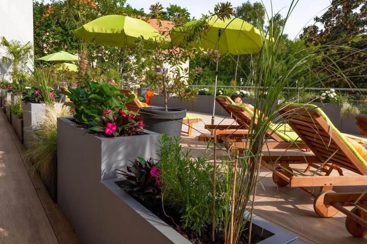 Sundeck 44 of 53