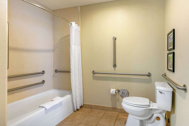 1 King Bed Suite (8 of 20)