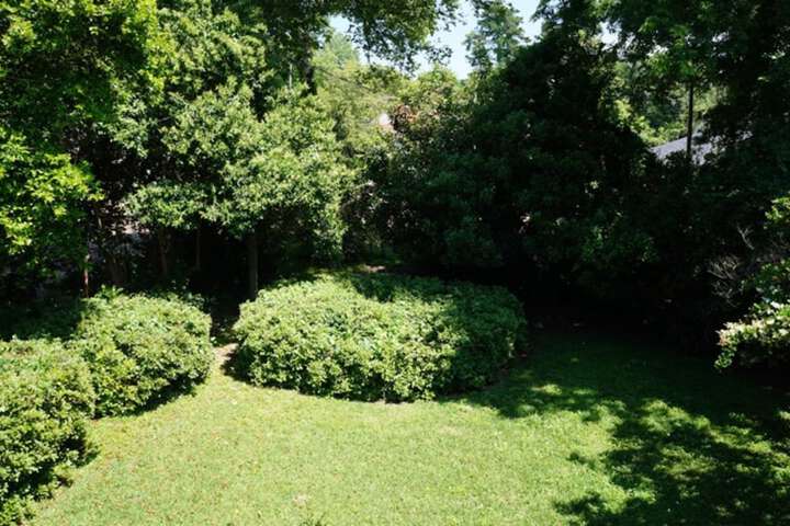 Property Grounds 11 of 17