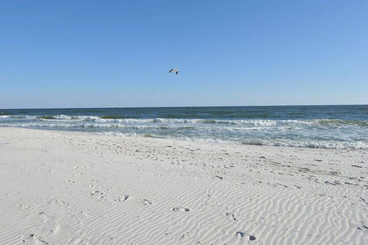 Beach 35 of 44