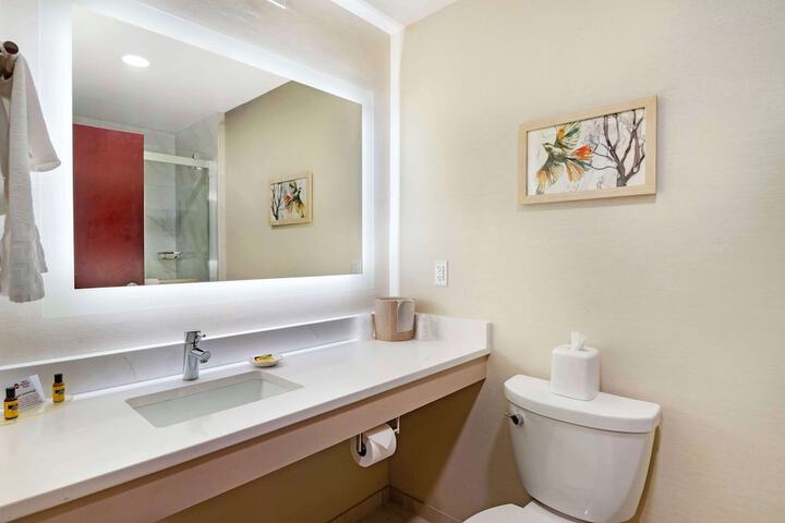 1 King Bed Bathtub Accessible (3 of 14)