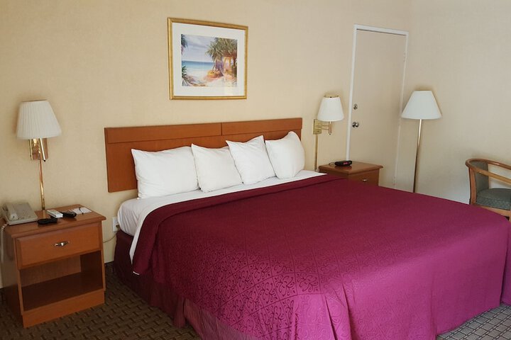 1 King Bed (21 of 29)