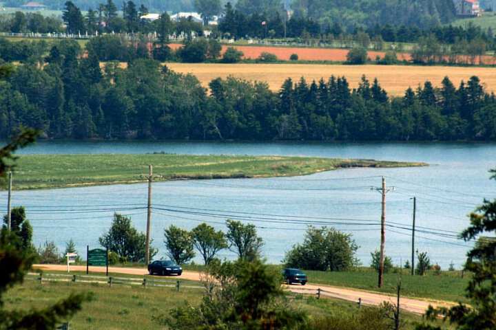 Property Grounds 56 of 63