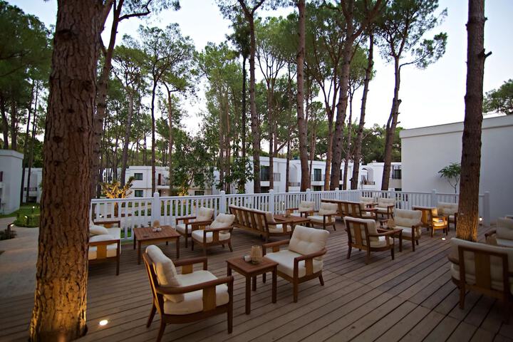 Terrace/Patio 75 of 88