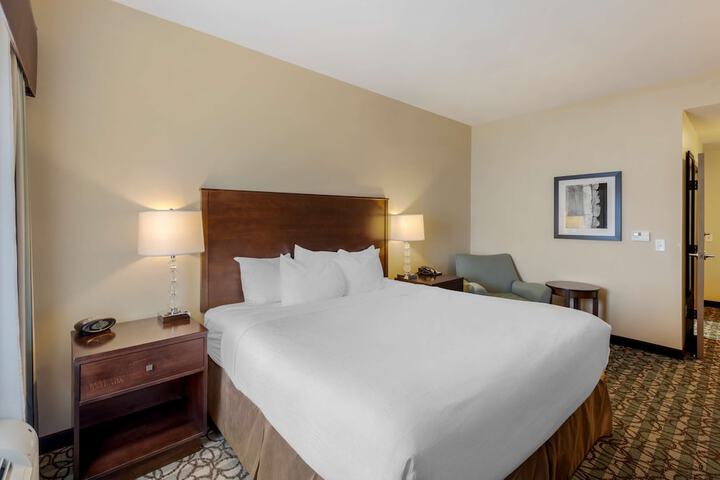 1 King Bed Pet Friendly (10 of 16)