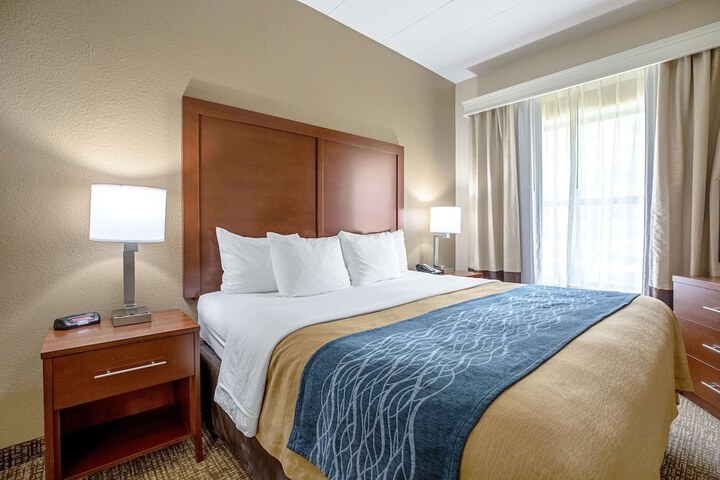 1 King Bed Accessible (7 of 8)