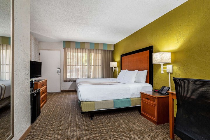 1 King Bed Deluxe Room (13 of 19)
