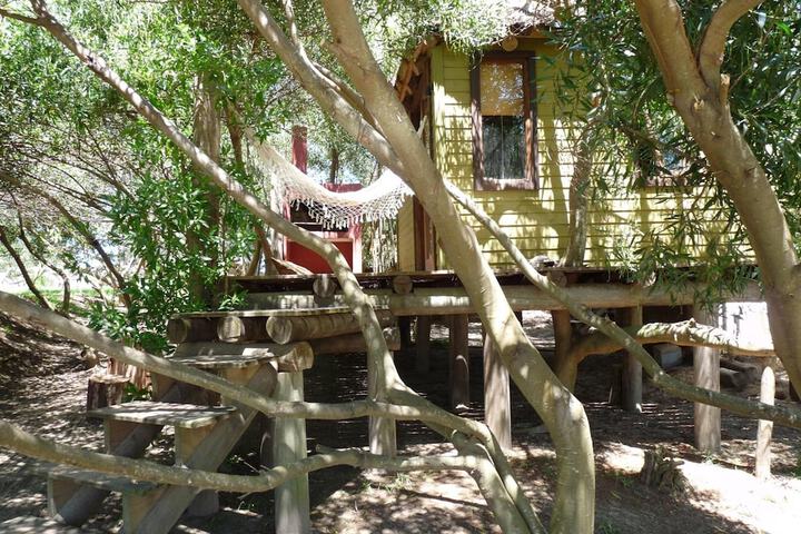 Property Grounds 26 of 45