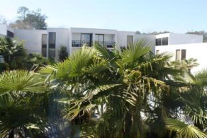 Hotel 16 of 23