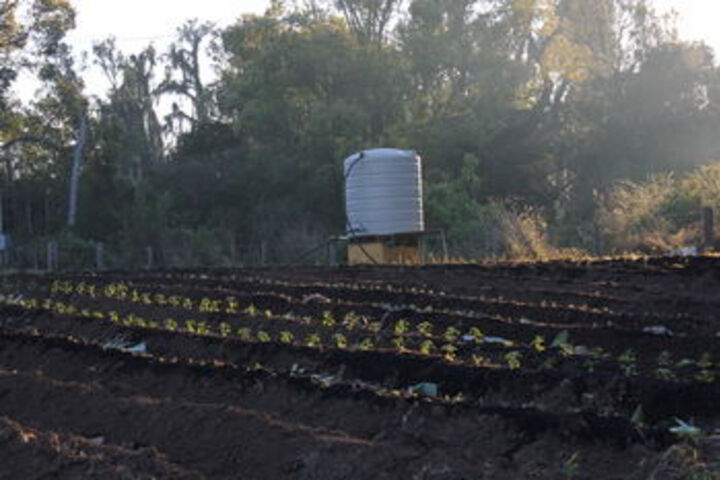 Property Grounds 45 of 58