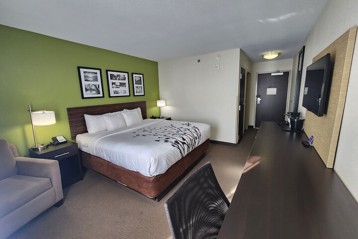 1 King Bed (32 of 38)
