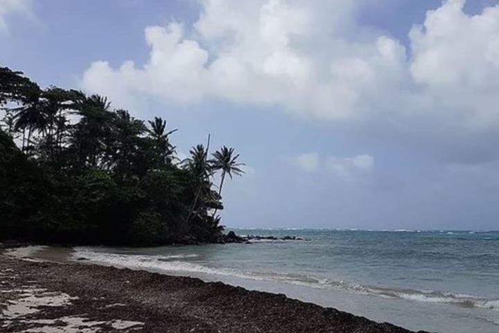 Beach 52 of 65
