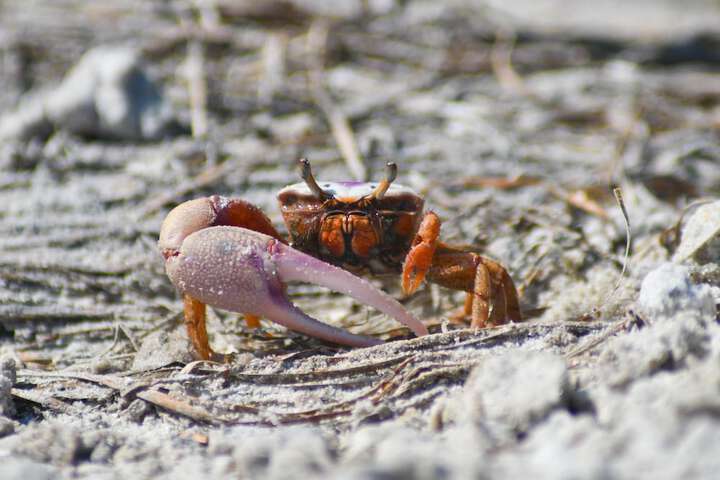 Hotel Interior 21 of 44