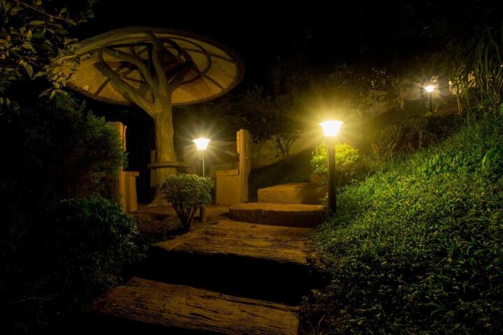 OYO Karapuzha Island Resort