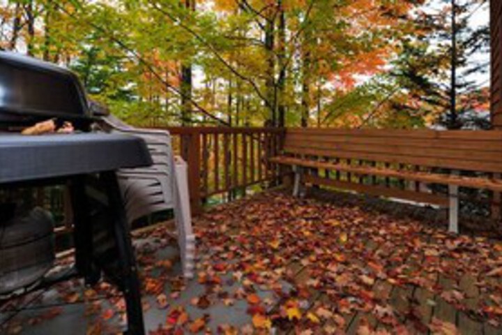 Terrace/Patio 56 of 57