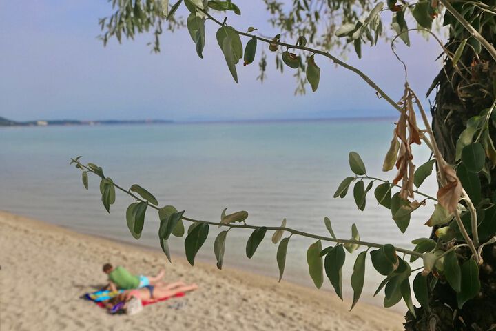 Beach 74 of 80