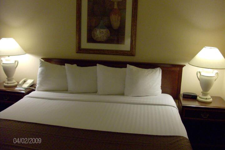 1 King Bed (9 of 12)