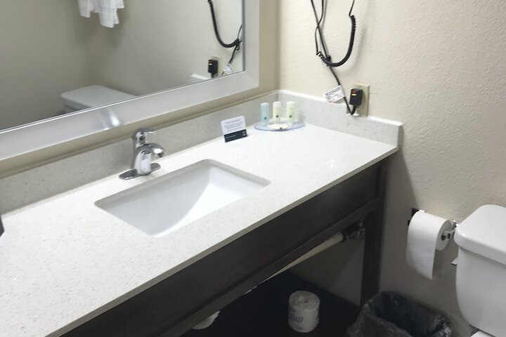 1 King Bed Accessible (4 of 20)