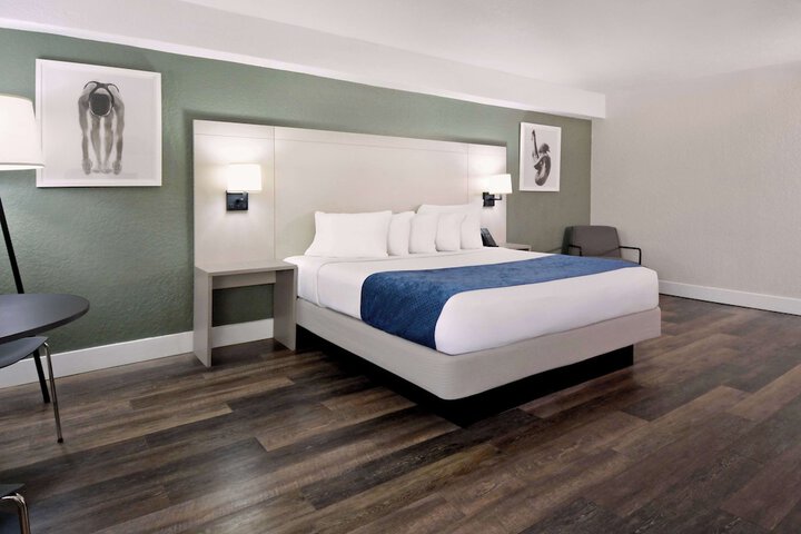 1 King Bed Mobility Accessible Bathtub with Grab Bars (24 of 24)