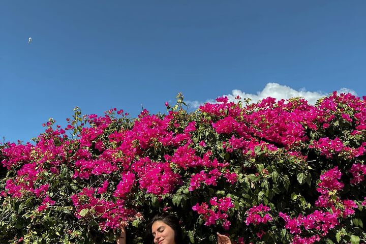 Hotel Exterior 143 of 174