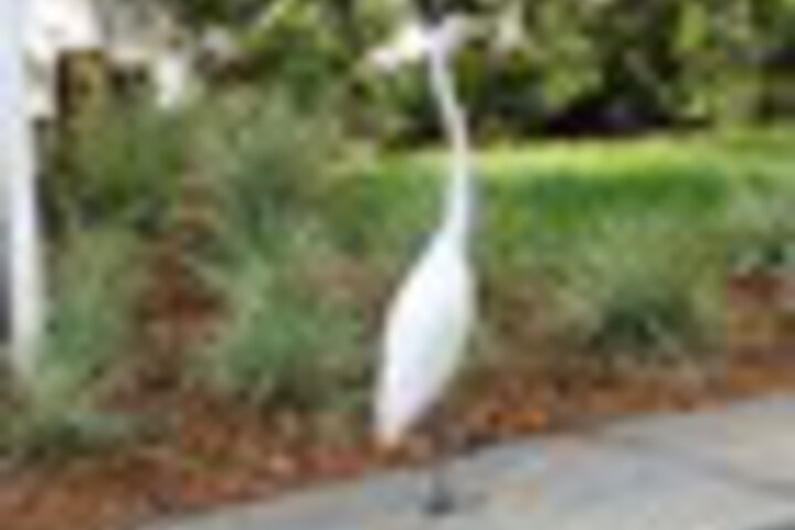 Property Grounds 179 of 207