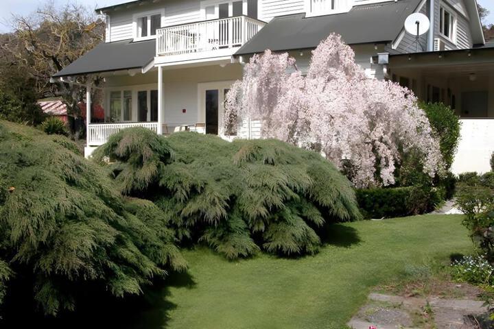 Esk Valley Lodge