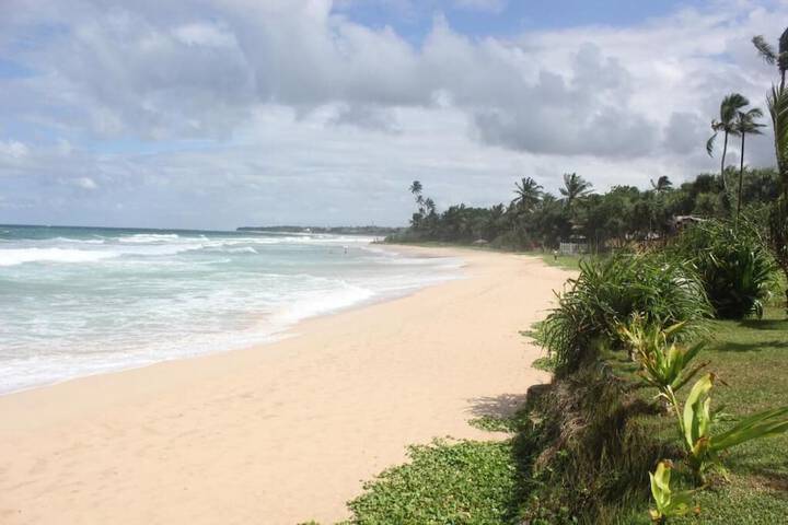 Beach 55 of 69