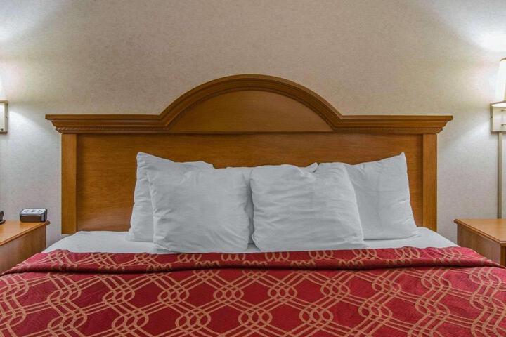 1 King Bed (5 of 8)