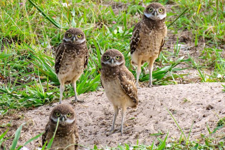 Hotel Interior 78 of 118