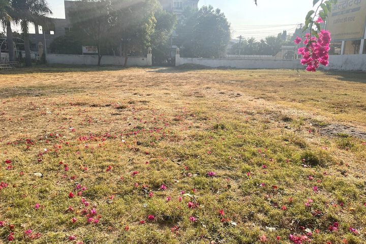 Property Grounds 16 of 21