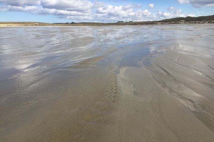 Beach 16 of 29