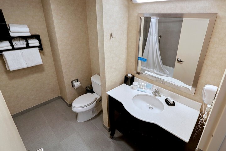 1 King Hearing Accessible Studio with Sofa Bed (4 of 19)