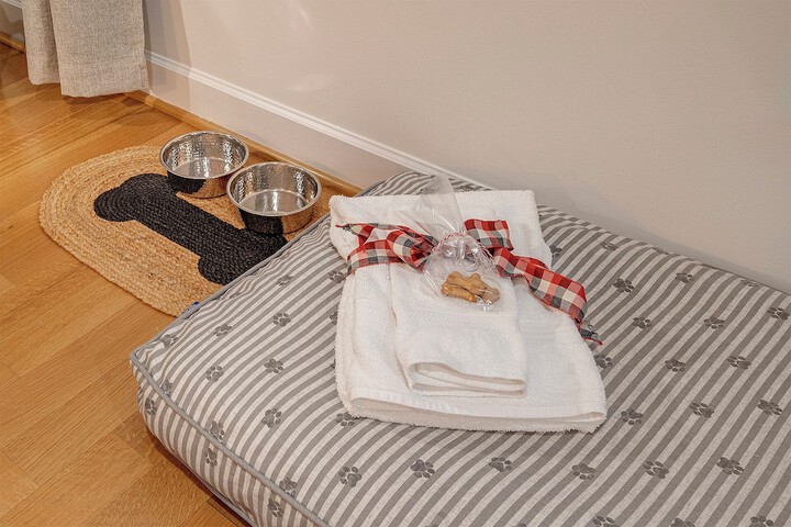 Pet-friendly amenities