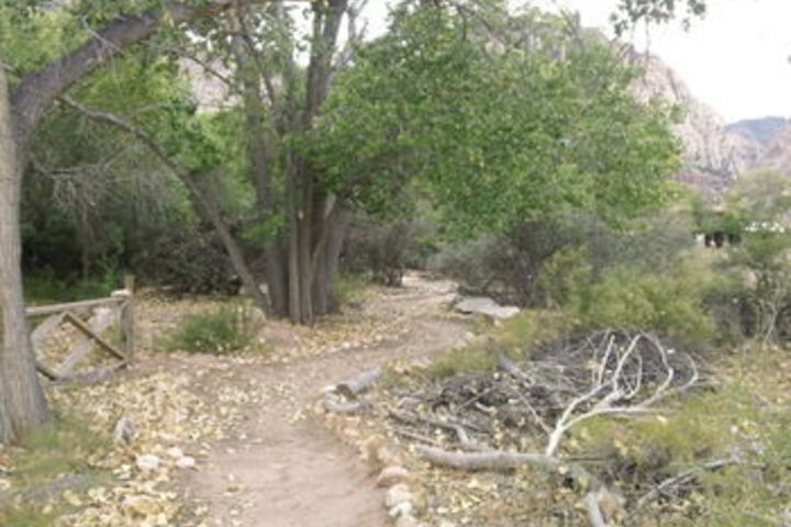 Property Grounds 140 of 145