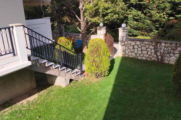 Photo 29