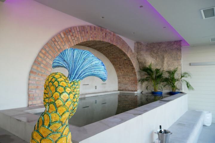 Wellness Treatments
