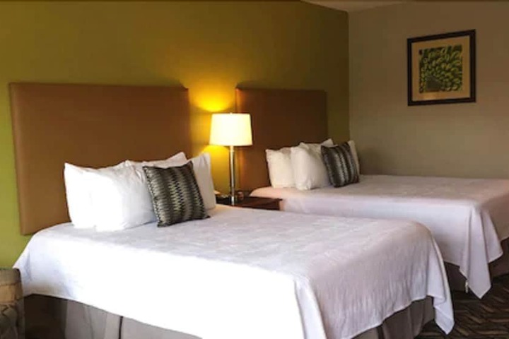 2 Double Beds (3 of 5)
