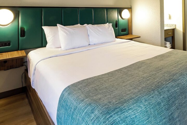 1 King Bed (14 of 16)