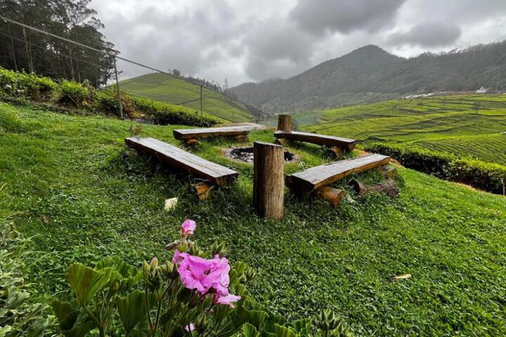 Tea Leaf Stays by Brown Tree Resort