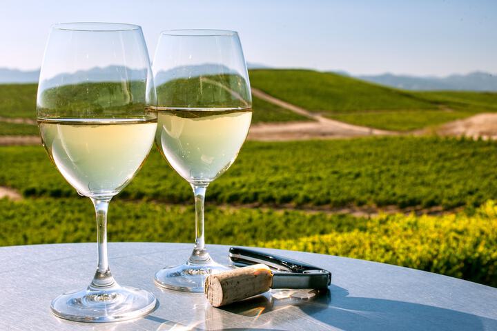 Tasting room