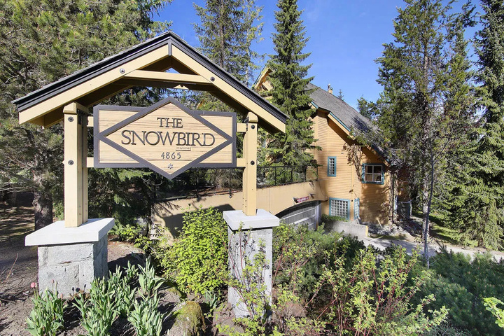 Image of Snowbird