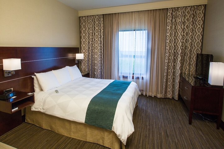 Deluxe Suite King Bed (6 of 6)