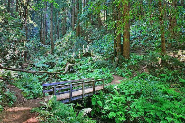 Hiking