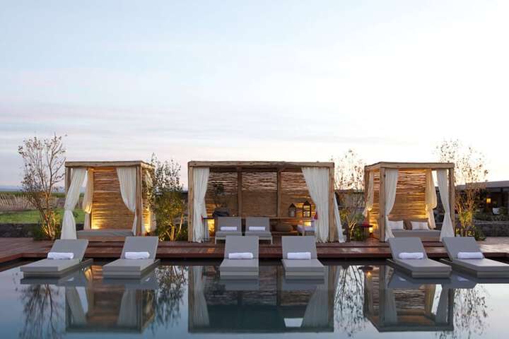 The Vines Resort & Spa