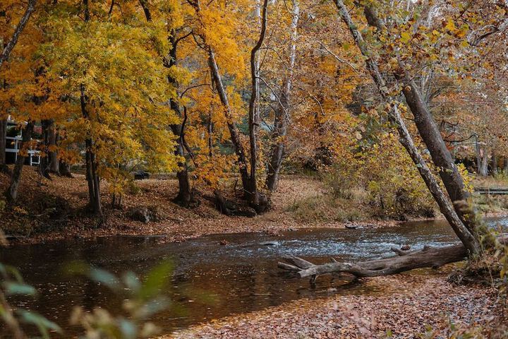 Property Grounds 92 of 101