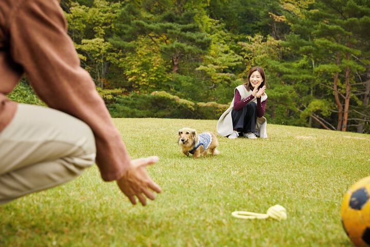 Pet Friendly 48 of 162