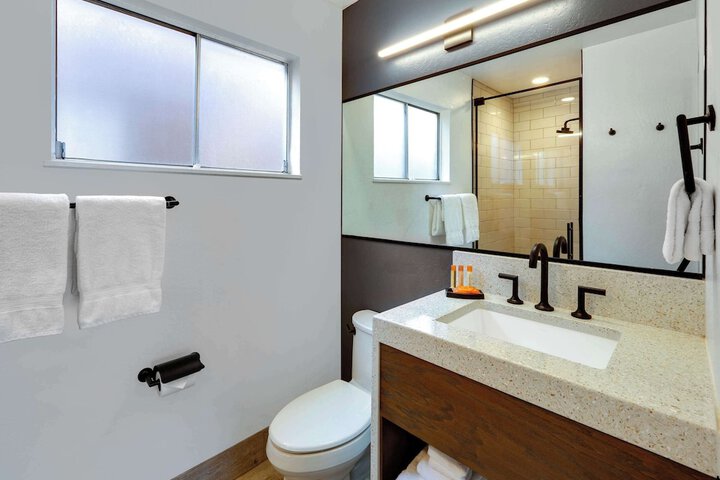 1 King Bed with View Bathtub Accessible (15 of 21)