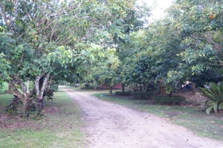 Property Grounds 10 of 25
