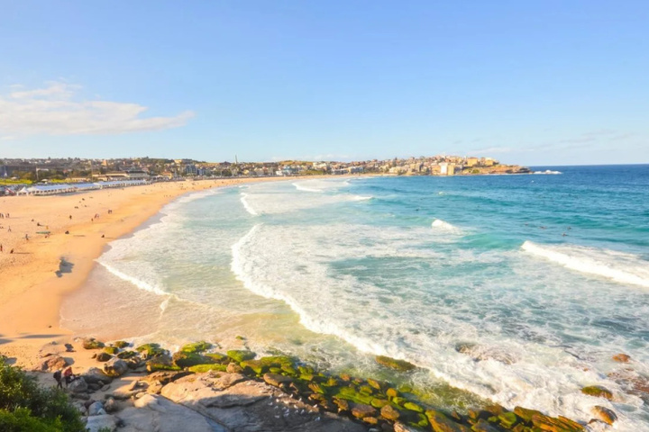Bondi Beach Eco Garden